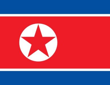 Miniatura: Koreą Północną rządzi... kobieta?