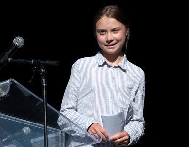 Miniatura: Greta Thunberg uhonorowana w nietypowy...