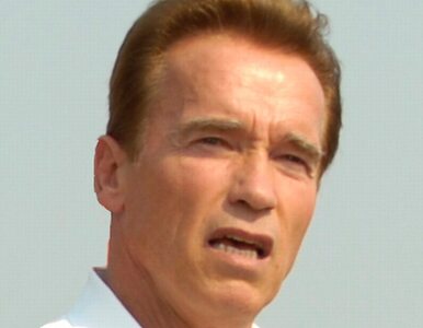 Miniatura: Schwarzenegger z misją handlową w Rosji