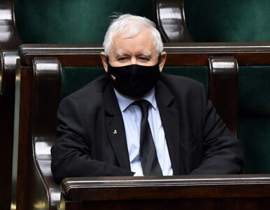 Miniatura: Kaczyński skomentował deklarację...