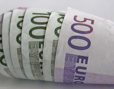 Miniatura: "Unia potrzebuje ratunku - biliona euro"