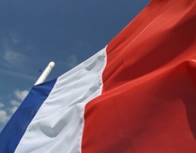 Miniatura: Francuzi zainteresowani polską energetyką...