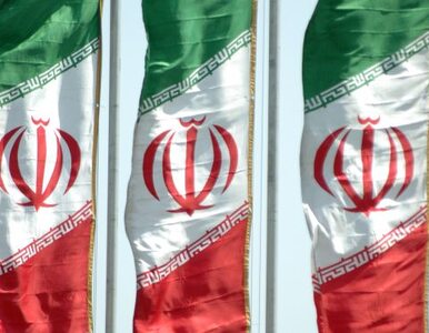 Miniatura: MAEA oskarża: Iran pracował nad bronią...