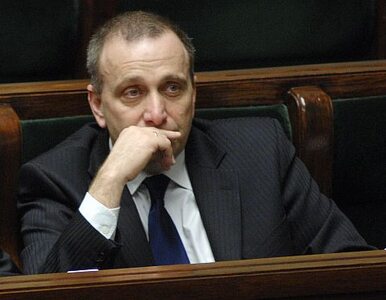 Miniatura: Schetyna nie powalczy o fotel prezydenta...