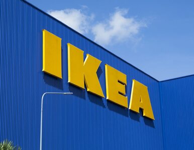 Miniatura: IKEA sprzedaje fabryki w Rosji. Są pierwsi...