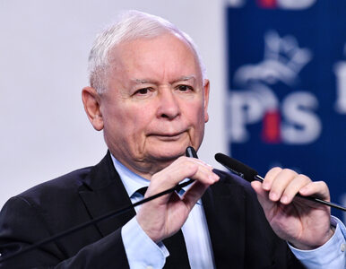 Miniatura: Jarosław Kaczyński postawił do pionu...