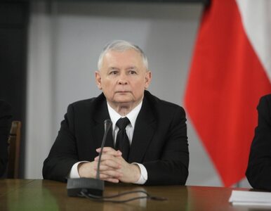 Miniatura: "Nie tylko lemingi nie chcą Kaczyńskiego"