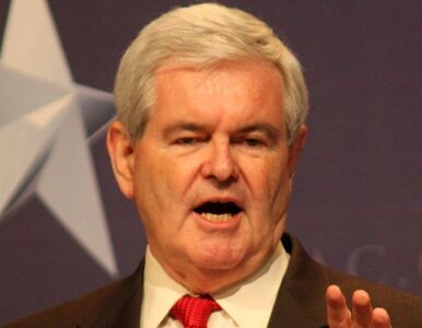 Miniatura: Gingrich będzie kandydował na prezydenta USA?