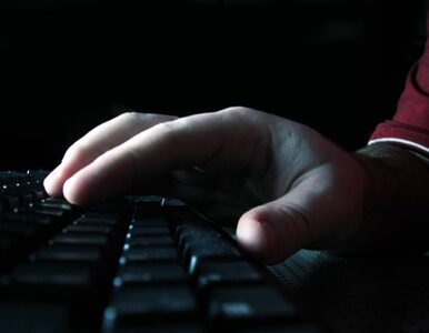 Miniatura: Hakerzy zaatakowali stronę pornograficzną....
