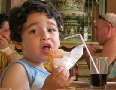 Miniatura: Polskie dzieci jedzą za dużo