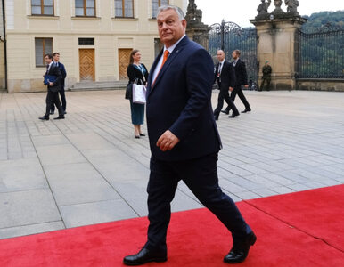 Miniatura: Polski minister ds. UE krytykuje Viktora...