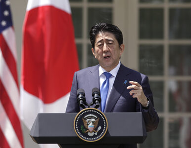 Miniatura: Premier Japonii chce większego...
