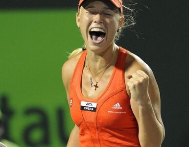 Miniatura: Turniej WTA w Miami: Wozniacki lepsza od...
