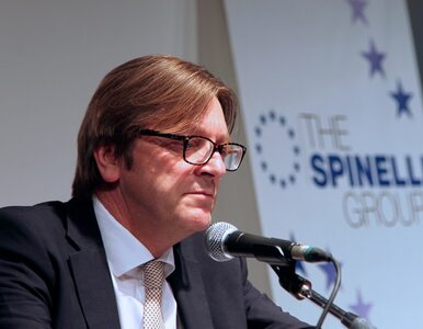 Miniatura: Chcą ukarania Guya Verhofstadta....