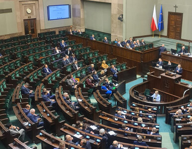 Miniatura: Sejm zdecydował o dalszych losach komisji...
