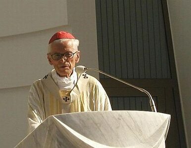 Miniatura: Kardynał Dziwisz: Stan kardynała...