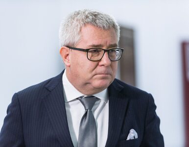 Miniatura: Ryszard Czarnecki: Projekt budżetu...