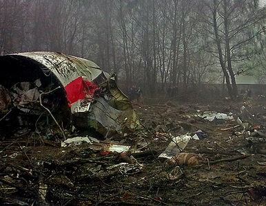 Miniatura: "Piloci Tu-154 próbowali uciec z pułapki"....