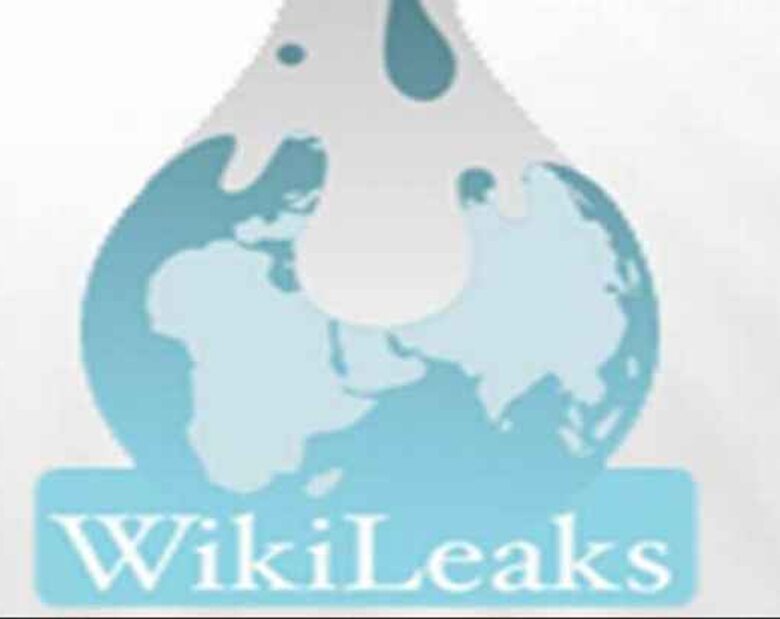 Miniatura: WikiLeaks: w Czechach kwitnie korupcja