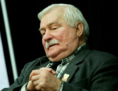 Miniatura: Lech Wałęsa startuje w wyborach do rady...