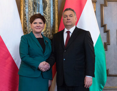 Miniatura: Viktor Orban z wizytą w Polsce. W planach...