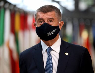 Miniatura: Premier Czech w orędziu przyznał się do...