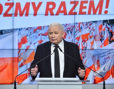 Miniatura: Kaczyński zapowiada polityczną ofensywę....