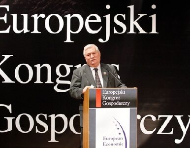 Miniatura: EEC 2011: konkurencja, energia i Europa...