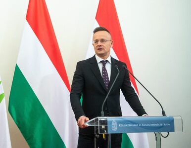 Miniatura: Tusk skrytykował węgierskiego ministra....