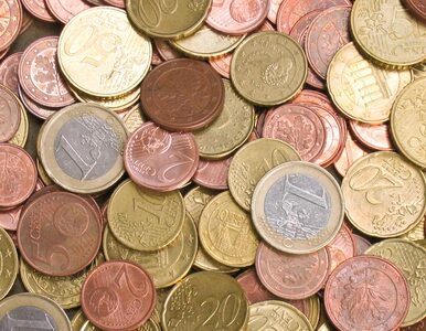 Miniatura: Austria nie chce budżetu dla strefy euro