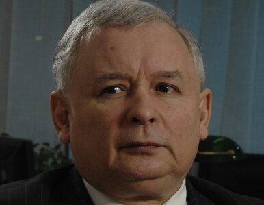 Miniatura: Kaczyński: to PO powinno się wstydzić za...