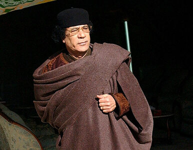 Miniatura: Nowa Libia przeprasza za Kadafiego