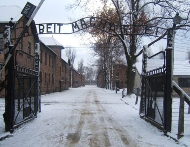 Miniatura: 66 rocznica wyzwolenia Auschwitz....