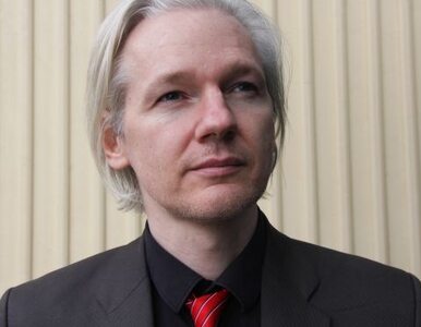 Miniatura: Assange: Dziennikarze traktowani są przez...