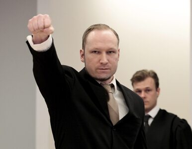 Miniatura: Jeden z ławników chciał śmierci Breivika -...