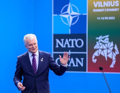 Miniatura: Szczyt NATO w Wilnie. Gen Skrzypczak: To...