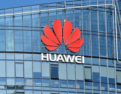 Miniatura: Huawei szykuje się na załamanie. Sprzedaż...