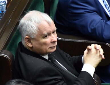 Miniatura: W jakiej formie jest Kaczyński?...