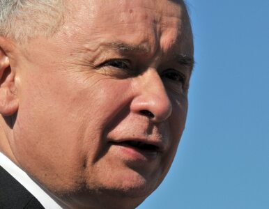 Miniatura: Kaczyński: będę kibicował tylko Polakom....