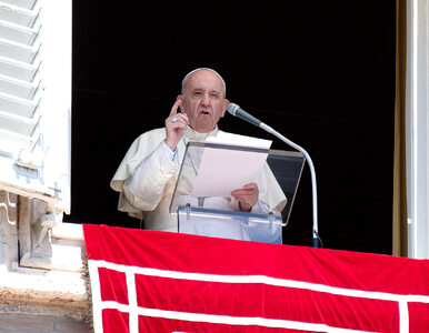 Miniatura: Papież abdykuje? Franciszek komentuje...