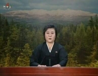 Miniatura: Korea Północna: Kim Dzong Un ma romans z...