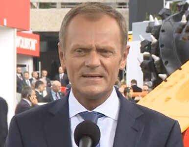 Miniatura: Tusk: Polska nie potrzebuje tych wyborów