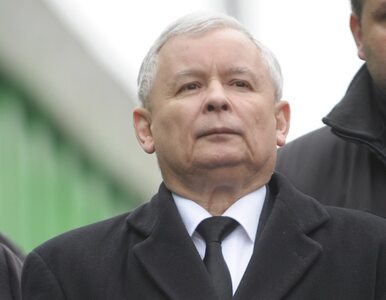 Miniatura: PO nie chce sama sądzić Ziobry i Kaczyńskiego