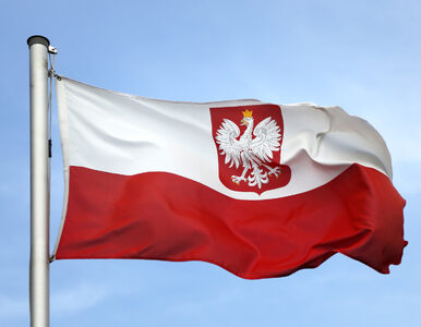 Miniatura: Polska spadła na 45. miejsce w Indeksie...