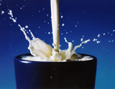 Miniatura: Godson: Nigeria mogłaby importować mleko z...