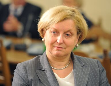 Miniatura: Anna Fotyga pomoże w reformie NATO. „Chcę,...