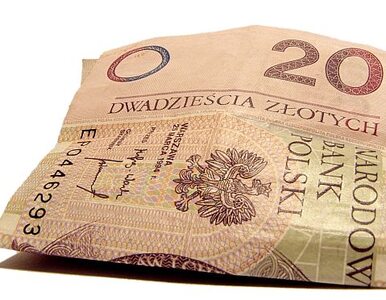 Miniatura: Ponad dwa miliony Polaków nie spłaca długów