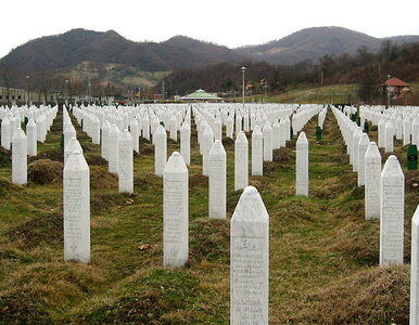 Miniatura: Sprawcy ludobójstwa w Srebrenicy zatrzymani