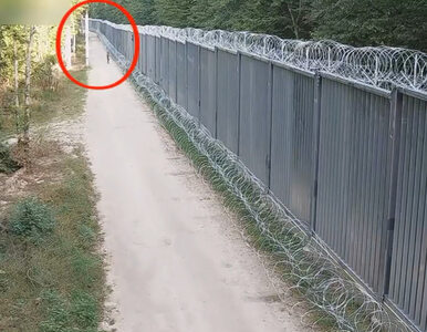 Miniatura: Migranci nacierali na granicę Polski,...