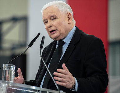 Miniatura: Zamrożenie cen prądu. Kaczyński zapowiada...